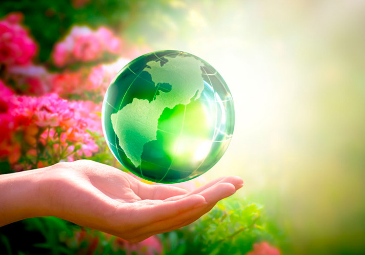 Celebrando el Día Mundial del Medio Ambiente: El futuro está en nuestras manos