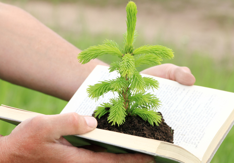 El papel de la educación ambiental en la protección del planeta