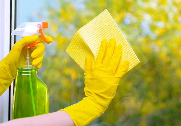 ¿Cómo dominar el arte de la limpieza sostenible