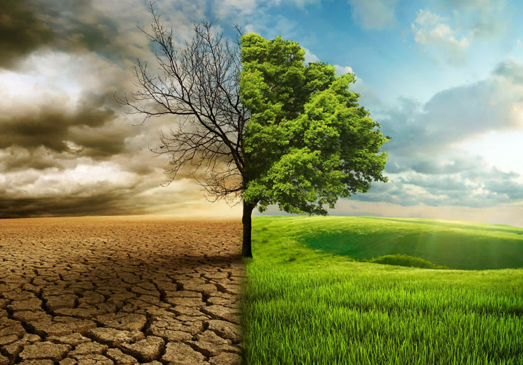 El papel de la ecología en la lucha contra el cambio climático