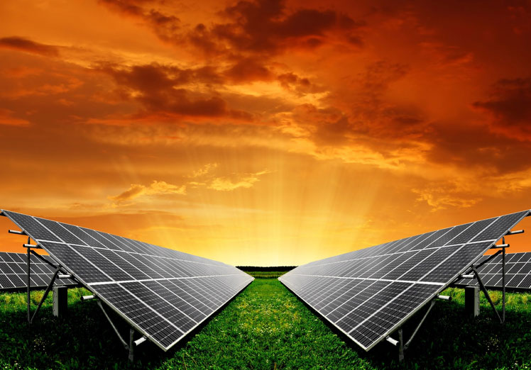 El poder del sol en tu hogar: Aprende a seleccionar las placas solares que impulsarán tu futuro