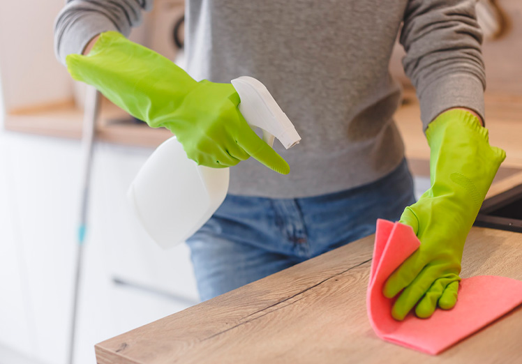 Aspectos de la limpieza ecológica