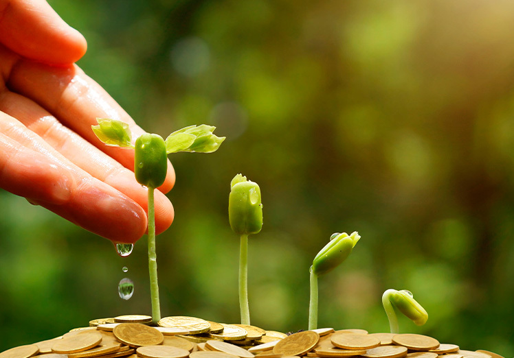 Descubre cómo podemos construir un futuro más verde y responsable Descubre cómo podemos construir un futuro más verde y responsable