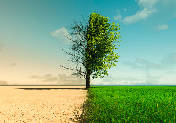 El despertar de la tierra: La crisis del cambio climático exige acción inmediata