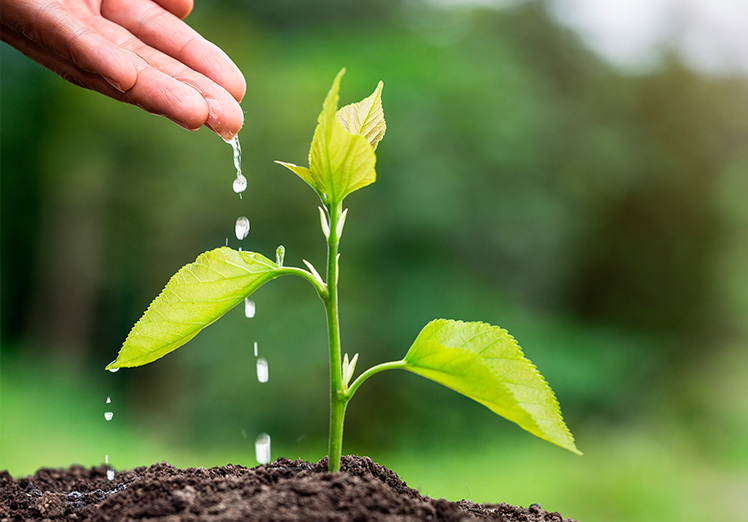 El poder de la acción individual: Cada gesto cuenta