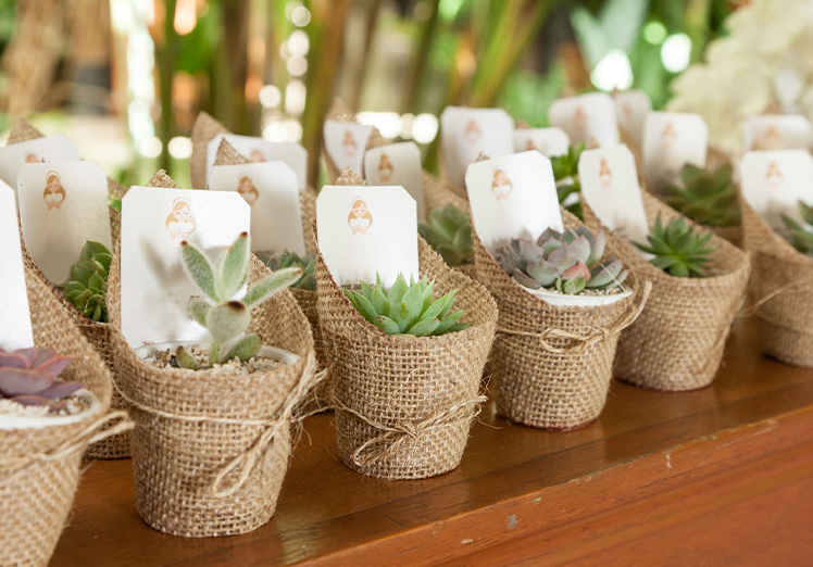 Regalos y detalles ecológicos: