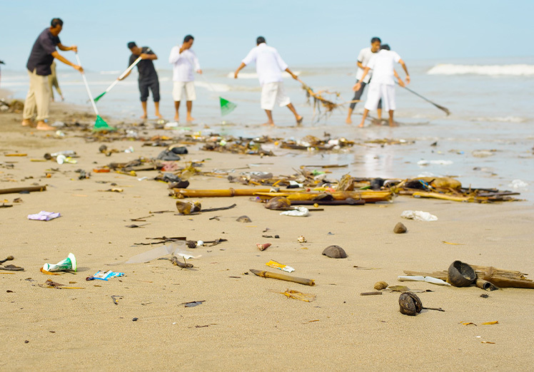 Las estrategias para preservar nuestros mares y su biodiversidad