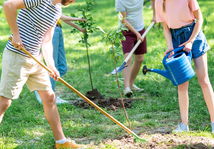 Plantar árboles y cuidar la vegetación Plantar árboles y cuidar la vegetación