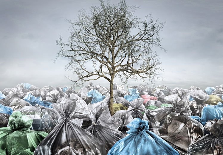 El impacto global de la basura en el planeta