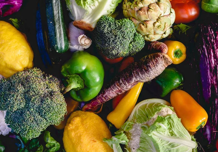 Recetas ecológicas: sabor, salud y sostenibilidad en tu plato