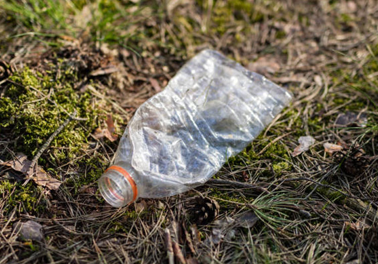 Amenaza a la biodiversidad y los ecosistemas terrestres Amenaza a la biodiversidad y los ecosistemas terrestres