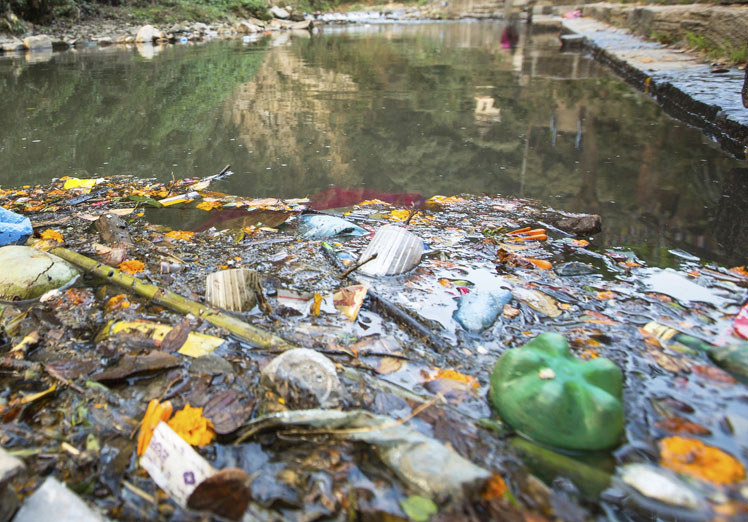 Contaminación del agua y los ecosistemas acuáticos Contaminación del agua y los ecosistemas acuáticos