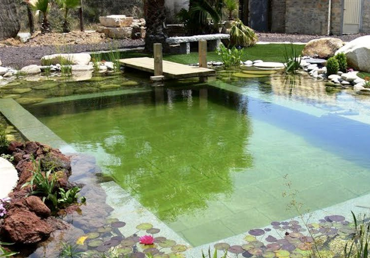 El concepto de piscinas biológicas