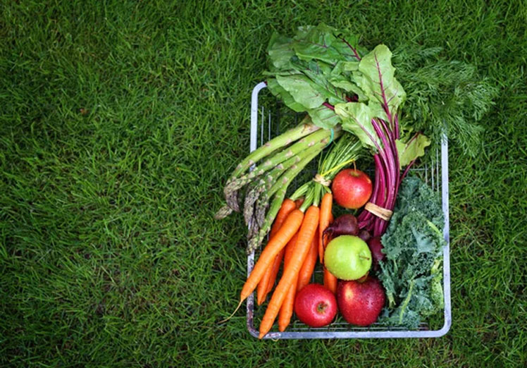 Ingredientes frescos y de temporada