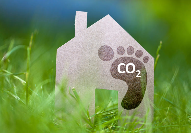 Reduce el desperdicio y la huella de carbono 