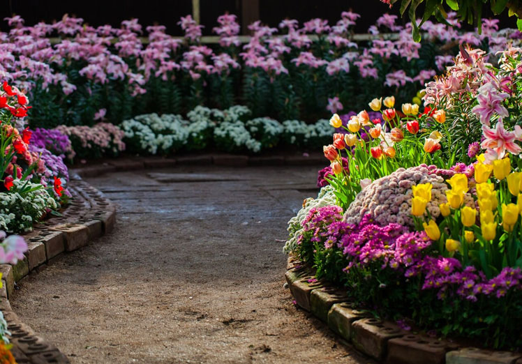 Consideraciones al elegir el diseño de jardín perfecto