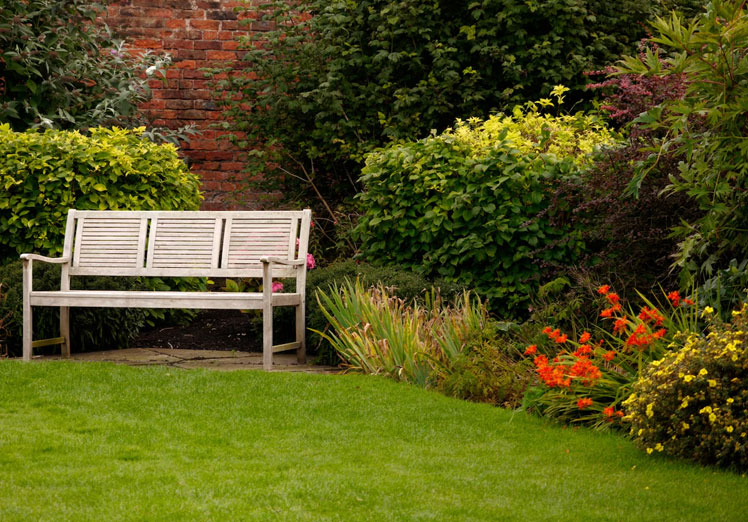Jardines informales: naturalidad y encanto rústico