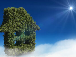 Reformas ecológicas que aumentan el valor de tu vivienda