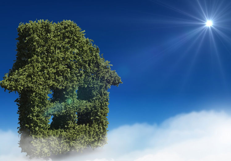 Reformas ecológicas que aumentan el valor de tu vivienda