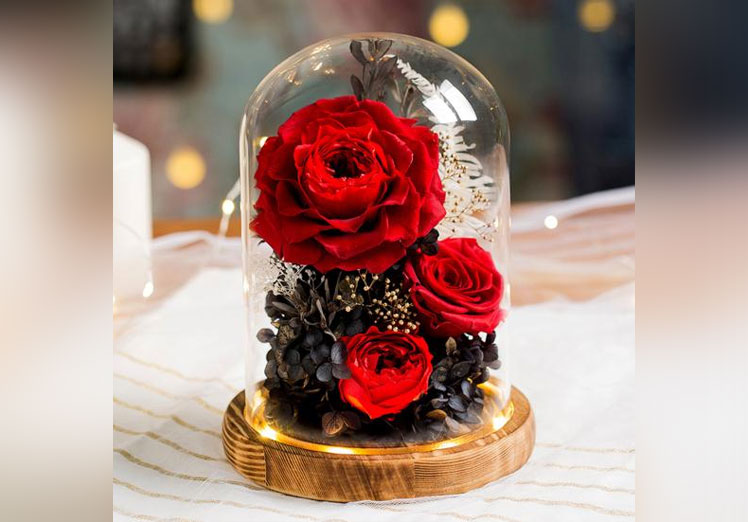 Cómo se han incorporado en decoración y diseño Cómo se han incorporado en decoración y diseño