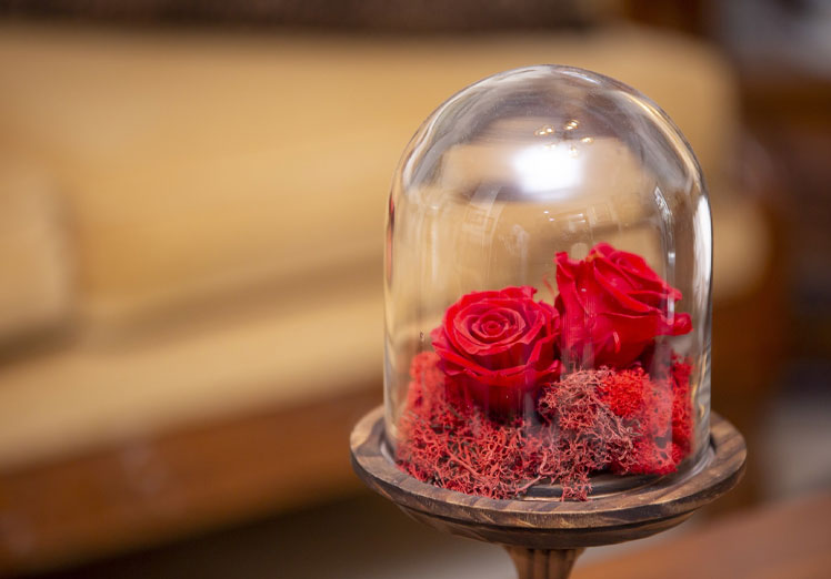 Recomendaciones para conservar su calidad Recomendaciones para conservar su calidad