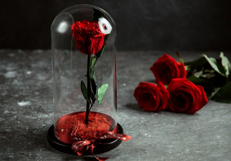 Un concepto floral que sorprende Un concepto floral que sorprende