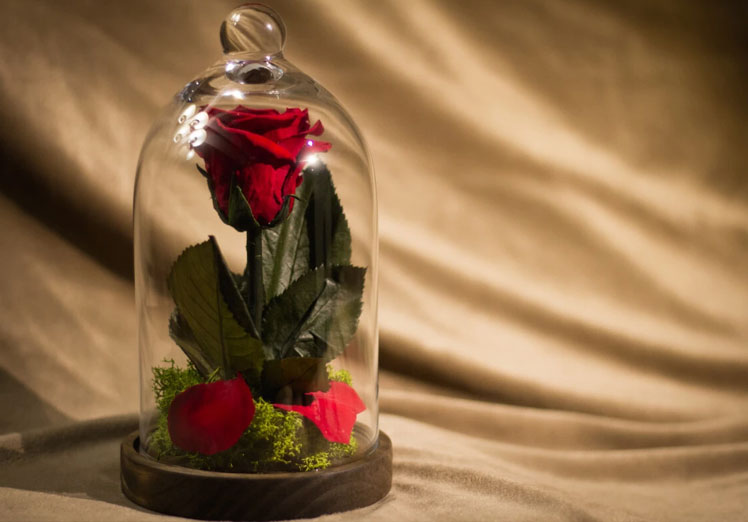 Ventajas que no suelen conocerse Ventajas que no suelen conocerse