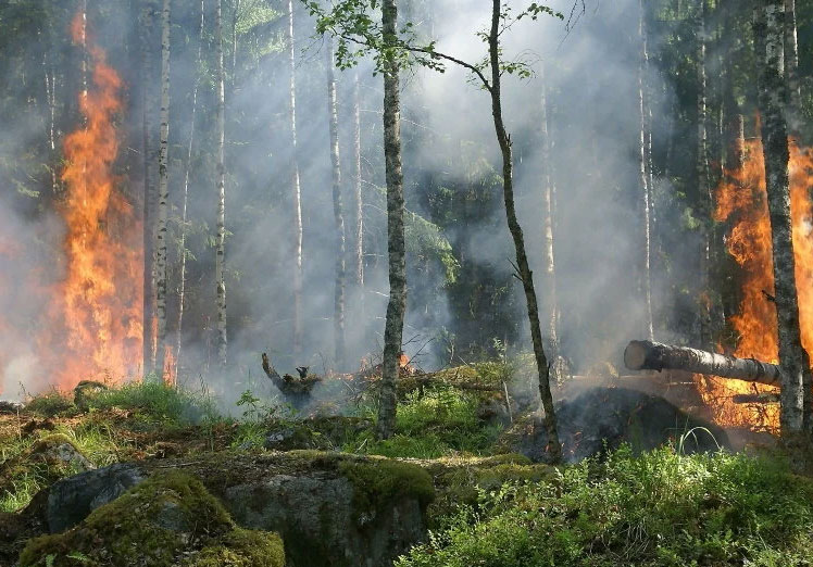 Los incendios ya no son como antes